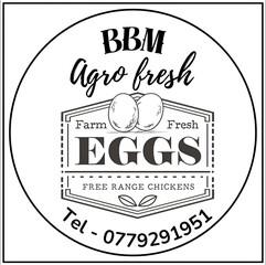 Fresh & Tasty Egg Food Creations