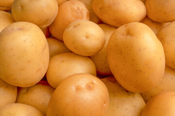 A group of fresh tasty potato as  background.
