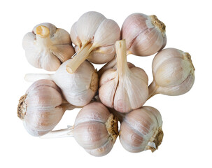 garlic on white background