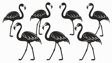 Set of flamingo