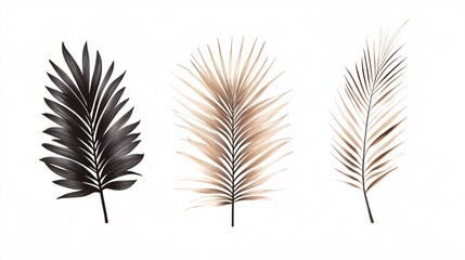 Fototapeta premium Serene Minimalist Palm Leaves in Neutral Hues