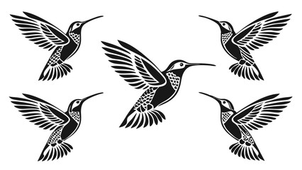 Set of hummingbird