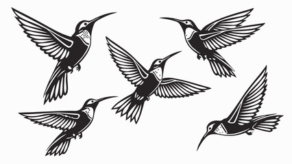 Set of hummingbird