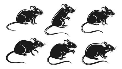 Set of rat 