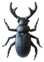 Fototapeta premium PNG Stag beetle insect invertebrate decorative.