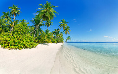 Palm trees and clean, transparent turquoise water on the Beautiful maldives tropical island. Idyllic tropical island in summer.
