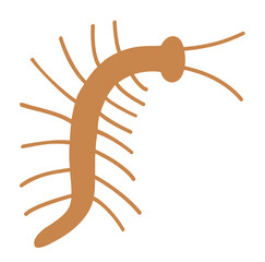 Simple Centipede Illustration