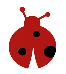 ladybug on white background