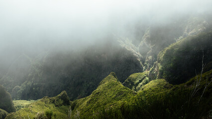 madera  © Sieku Photo