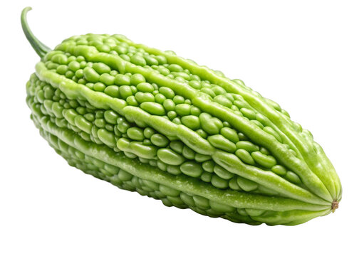 Bitter melon isolated on a transparent background.