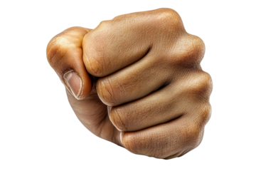 A clenched fist representing strength, solidarity, and protest. Symbolizes unity and resilience in social movements.