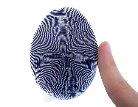 Fingerprint isolated on transparent background and white background