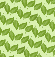 green leaves seamless pattern