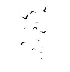Flying birds silhouette flock. hand drawing. Not AI. Vector illustration.
