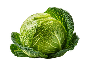 Fototapeta premium Fresh cabbage isolated on transparent background