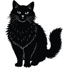 Fototapeta premium black and white cat