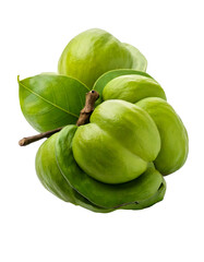 garcinia atroviridis fruit isolated on transparent background