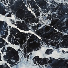 Obraz premium Elegant black and white marble texture with intricate veining design