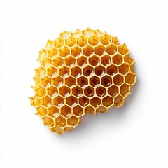 Golden honeycomb brimming with sweet honey, showing the natural beauty of bee products.