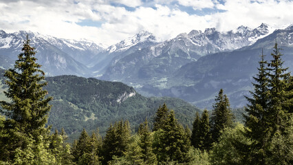 Fototapeta premium Panoramic alpine view with snow-capped peaks and dense evergreen forest