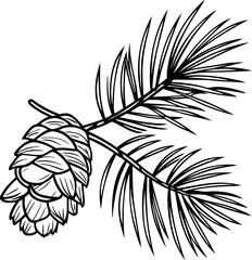 Illustration of pine cone and needles black and white nature sketch, botanical art