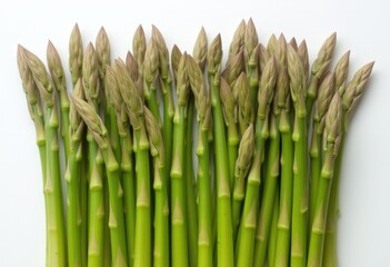 Fresh green asparagus bunch on white background  