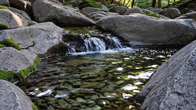 small waterfall in the forest
