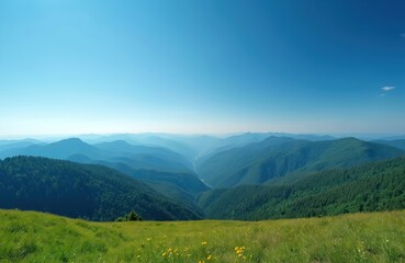 Obraz premium Picturesque mountain range views under clear blue sky. Green mountain slopes with trees, grass, valley, yellow flowers. Nature travel, hiking, adventure, eco tourism. Ideal for background, wallpaper.