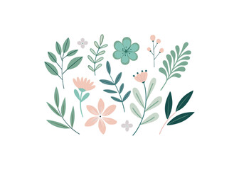 vector illustration of a floral background with flowers