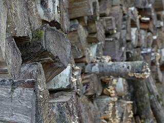 La Neuville Au Pont, March 2025:hiking in the Argonne and Ardennes forests, surrounded by trees and nature - stere of wood on standby