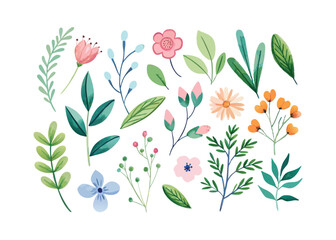 spring flowers vector illustration