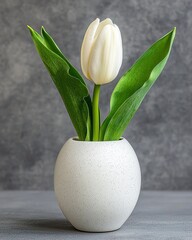 White Tulip in Speckled Egg Vase, Gray Background