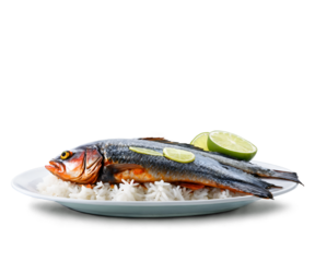 Delicious grilled fish presentation with lime slices, served on a bed of fluffy rice, showcasing culinary art and inviting a taste of a flavorful meal, evoking a sense of gourmet indulgence