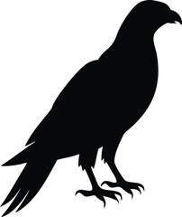 Fototapeta premium Black and white parrot silhouette, ideal for logos, branding, and wildlife-themed digital art.