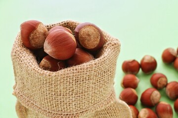Hazelnuts overflowing from burlap sack on surface. Close-up of hazelnuts in jute bag. Many whole...