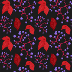 Pattern with Virginia creeper, red leaves and blue berries on a black background. Seamless pattern