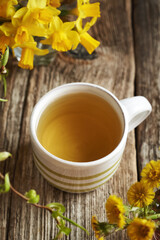 A cup of coltsfoot tea with fresh coltsfoot or Tussilago flowers, with blooming daffodils in the background