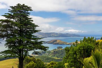 Obraz premium Beautiful view from Larnach Castle over the Otago harbor on a sunny day. Dunedin, New Zealand