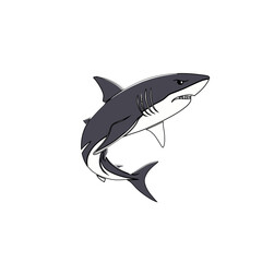 Naklejka premium shark 