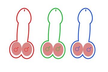 three different size penises © wiha3