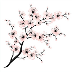Fototapeta premium Elegant Cherry Blossom Branch Vector Illustration of Pink Flowers and Black Branches