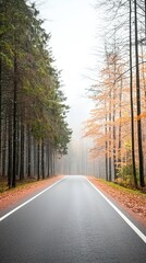 Obraz premium Foggy Autumn Forest Road