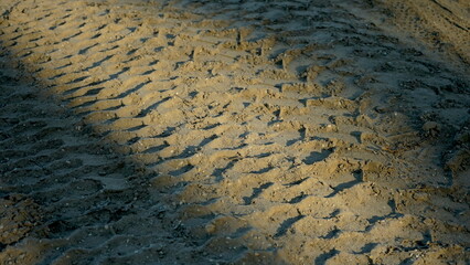Spuren von schwerem Gerät im Wald