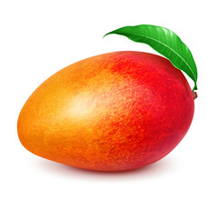 マンゴーのイラスト リアル 白バック