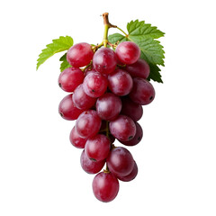 Fototapeta premium Uvas