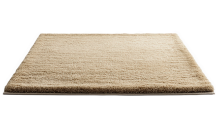 Beige Rectangular Area Rug