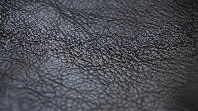 Macro footage of black leather grain texture background. High quality 4k footage