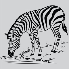 a zebra drinking from a watering hole silhouette vector design art and illustration