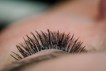 Extreme close-up of a closed eye showcasing thick, dark eyelash extensions in sharp focus, highlighting individual lash details..