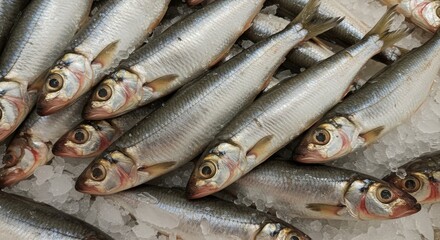 Obraz premium Alewife Fish on Ice Supermarket Display - Fresh alewife fish on ice, glistening scales, ready for sale, supermarket freshness, healthy seafood.